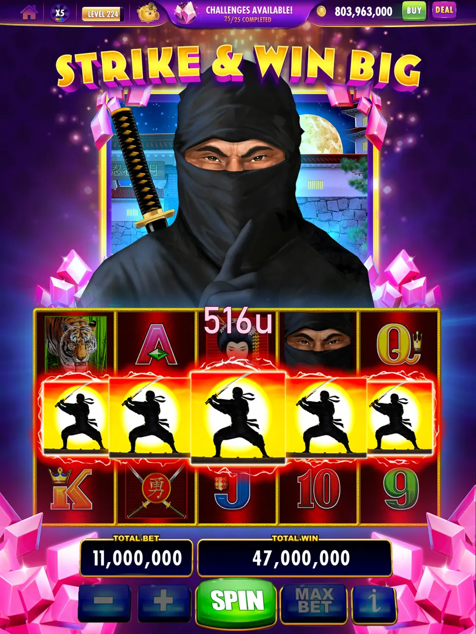 516u Login